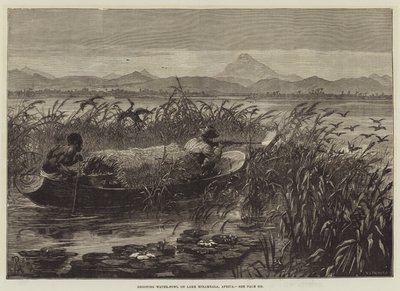 Shooting Water-Fowl on Lake Mirambala, Africa by Johann Nepomuk Schonberg